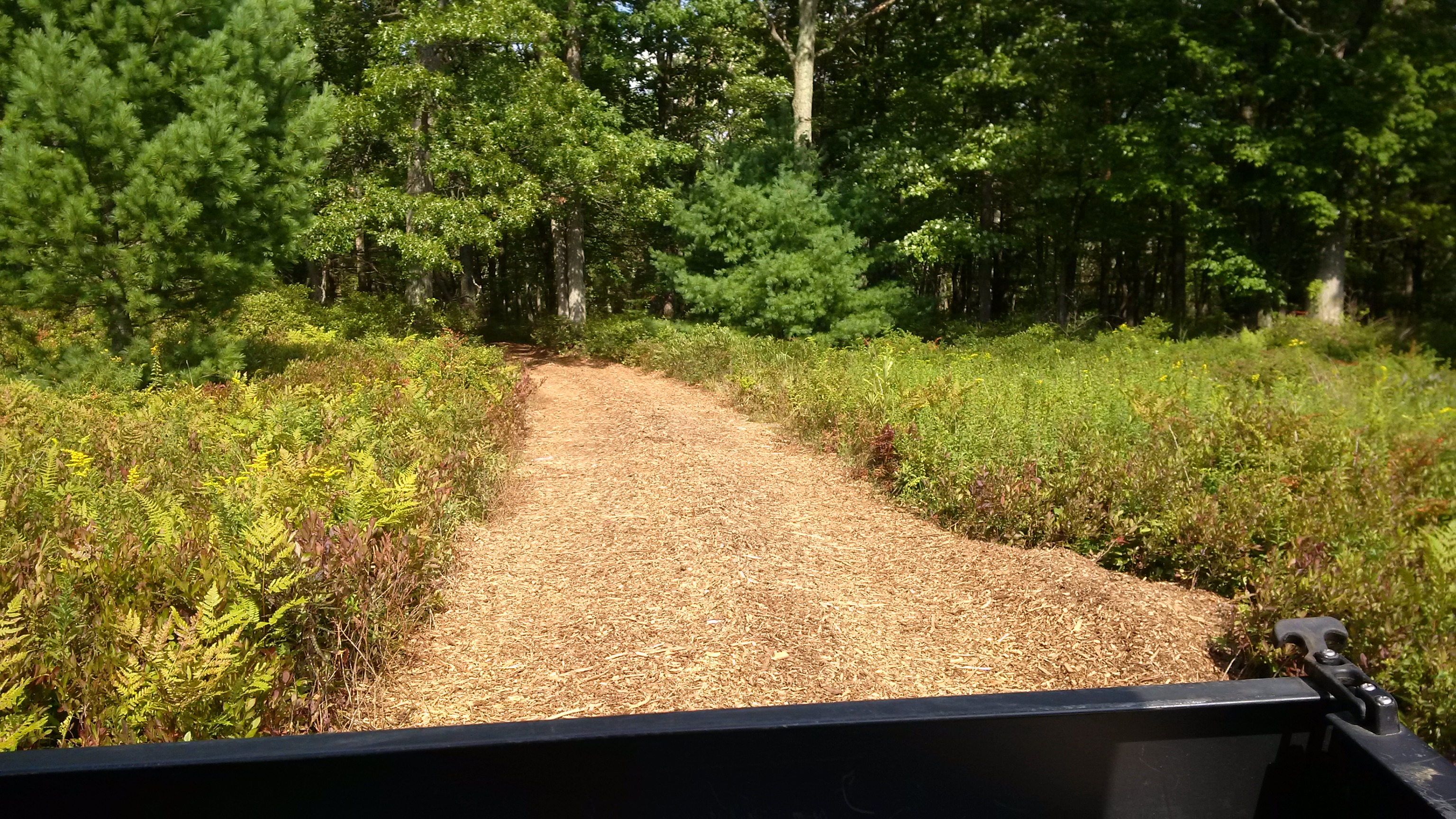 Frank Trail in the Bridge Preserve Park